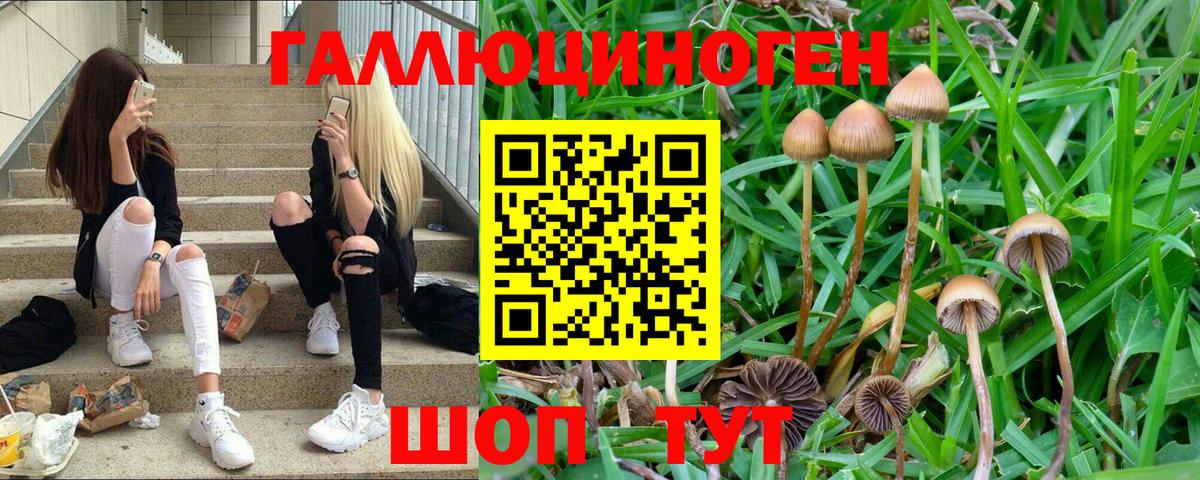 даркнет сайт  Вход с VPN  Выкса  Галлюциногенные грибы Psilocybe 