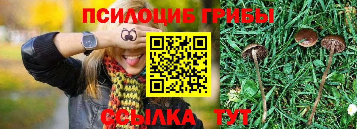 Галлюциногенные грибы Magic Shrooms Выкса